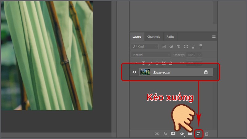 Kéo layer ảnh xuống mục Create a new layer để tạo một layer nhân bản