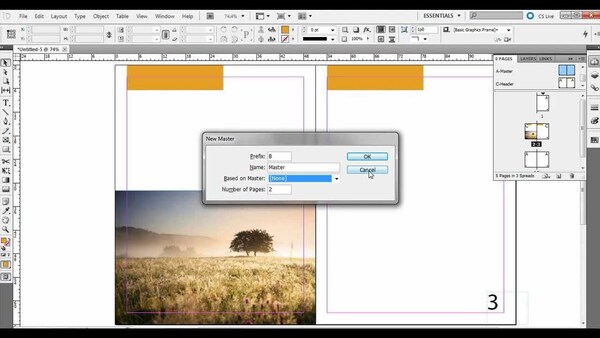 Hướng dẫn sử dụng InDesign và những điều cơ bản