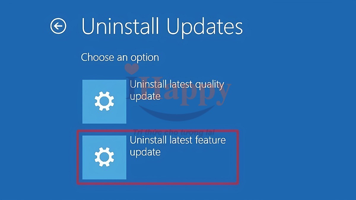 Cách hạ Win 11 xuống Win 10 bằng Windows RE bước 5