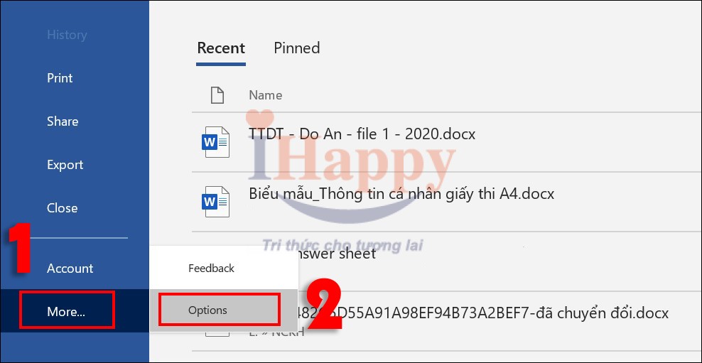  Chọn More > Options